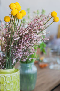 Close-up of flowering plant in vase