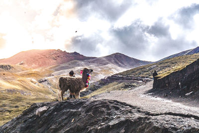 Rear view of man walking on mountain