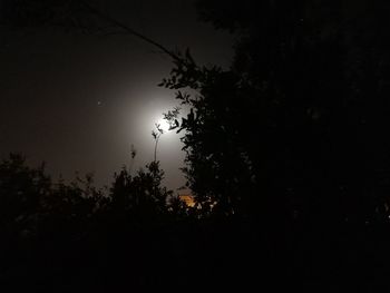 Low angle view of silhouette trees against sky at night