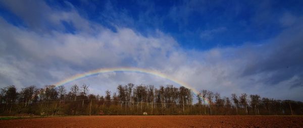 Scenic view of rainbow over trees on field against sky