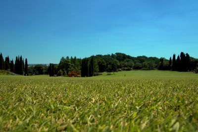 Scenic view of field against clear blue sky