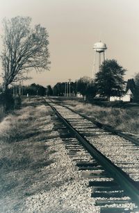 Trees along street light