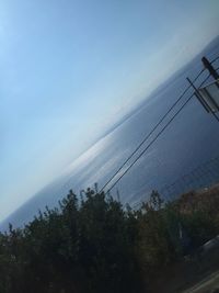 Low angle view of trees against sky