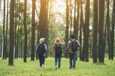 Group of people walking in forest