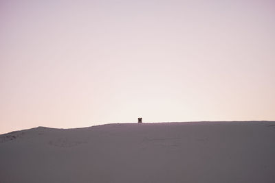 Silhouette person standing on desert against clear sky