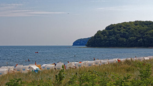 View of birds perching on beach