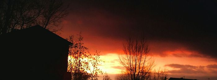 Silhouette trees against sky during sunset