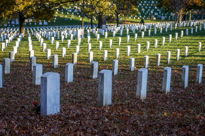 Tombstones at cemetery