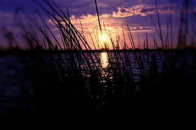 Scenic view of sunset sky