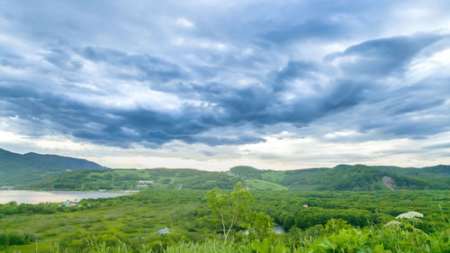 Scenic view of field against sky