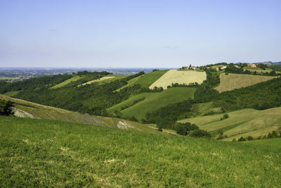 Scenic view of grassy field by sea against sky