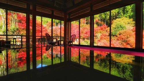 Trees by lake seen through glass window