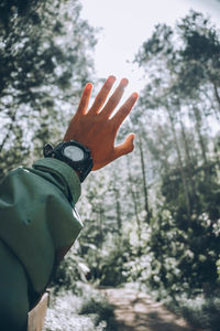 Cropped image of person hand against trees