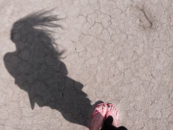 Shadow of woman on barren field