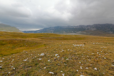 Scenic view of landscape and mountains against sky