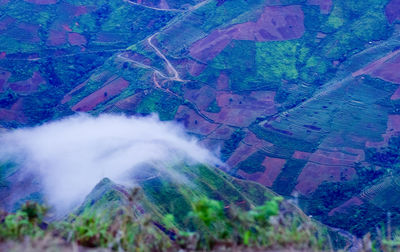 Aerial view of agricultural landscape