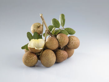 Close-up of fruits against white background