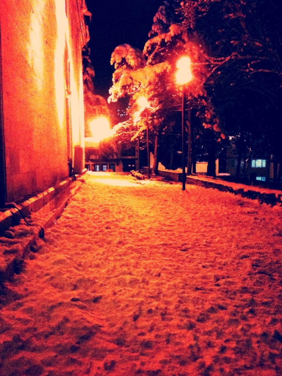 illuminated, night, street light, lighting equipment, the way forward, street, building exterior, red, orange color, glowing, outdoors, sky, light - natural phenomenon, diminishing perspective, lit, road, tree, architecture, built structure, city