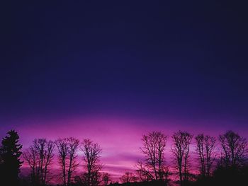 Low angle view of silhouette trees against sky at night