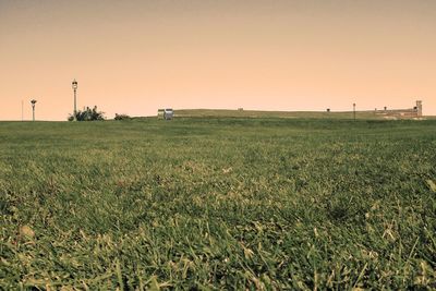 Scenic view of grassy landscape against clear sky