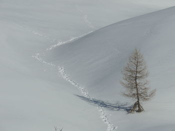 Aerial view of snow covered land