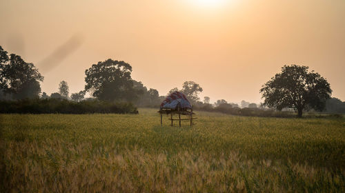 Scenic view of field against sky