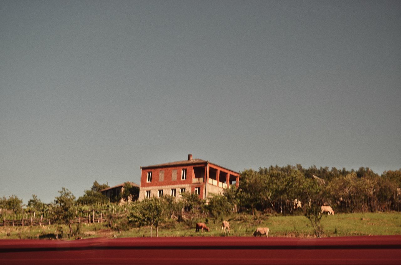 HOUSE ON FIELD AGAINST SKY