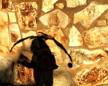 Low section of silhouette man standing on floor