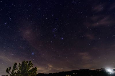 Low angle view of trees against star field at night