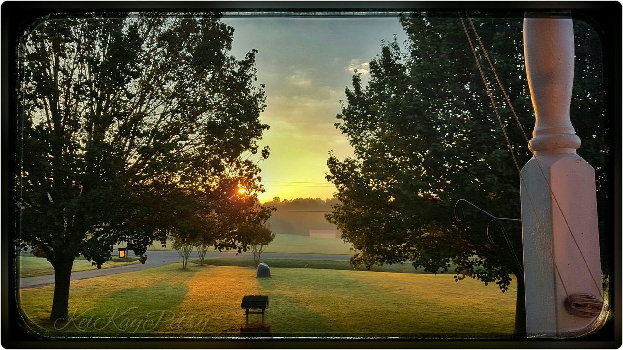 tree, transfer print, sky, auto post production filter, tranquility, field, sunset, bare tree, nature, grass, tranquil scene, branch, scenics, tree trunk, growth, sunlight, landscape, outdoors, beauty in nature, no people