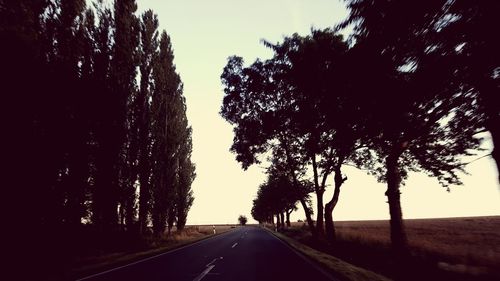 Empty road along trees