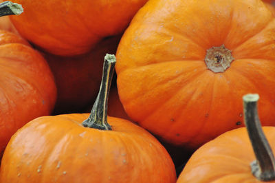 High angle view of pumpkins in market