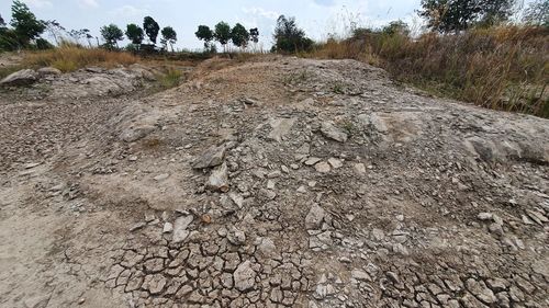 Surface level of dirt road on land