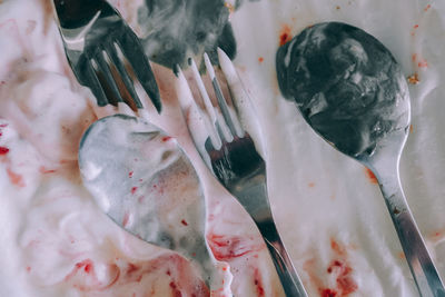 High angle view of fish in ice cream