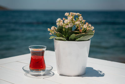 Close-up of flower vase on table by sea