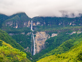 High angle view of trees on mountain