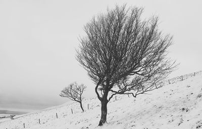 Bare tree on snow covered landscape against sky