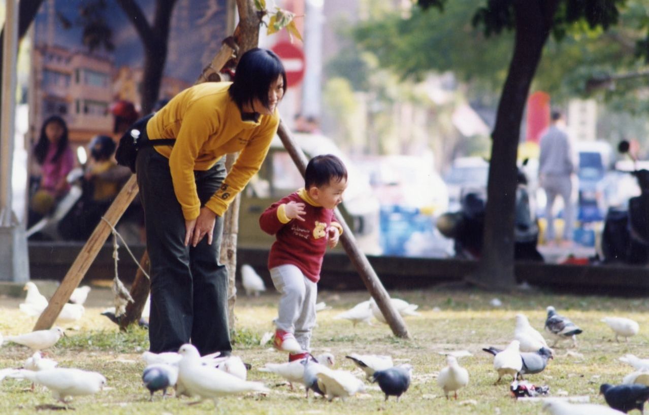 lifestyles, focus on foreground, men, full length, leisure activity, street, casual clothing, rear view, bird, person, incidental people, walking, animal themes, childhood, outdoors, city, day, large group of people, togetherness