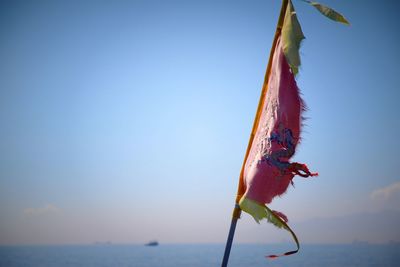 Close-up of leaf hanging against sky