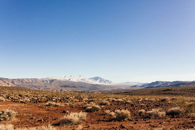 Scenic view of landscape against clear sky