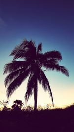 Low angle view of silhouette palm trees against clear sky