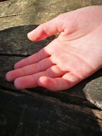 Close-up of woman hand