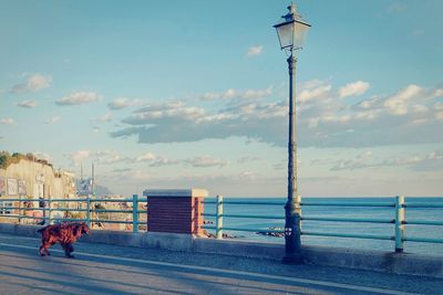 View of sea against cloudy sky