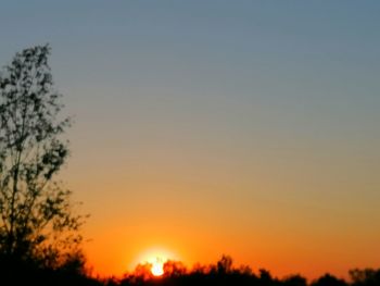 Silhouette trees against sky during sunset