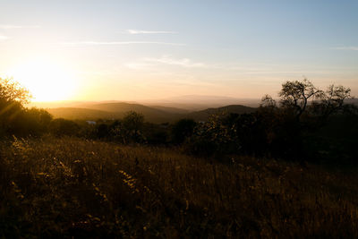 Scenic view of field against sky during sunset