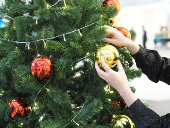 Midsection of woman holding christmas tree