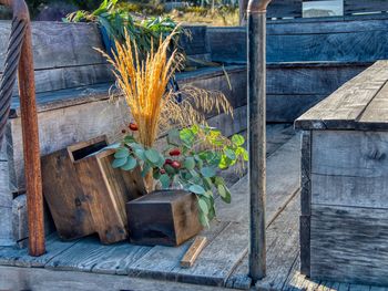 Close-up of potted plants on table