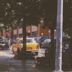 Cars parked on street