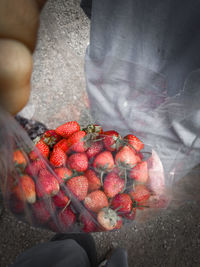 View of red berries in container