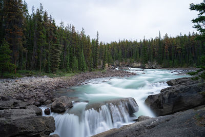 Scenic view of waterfall in forest